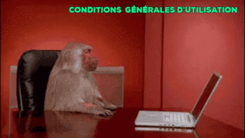 Un singe repousse un ordinateur